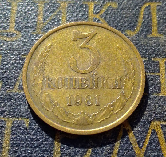 3 копейки 1981 СССР #31
