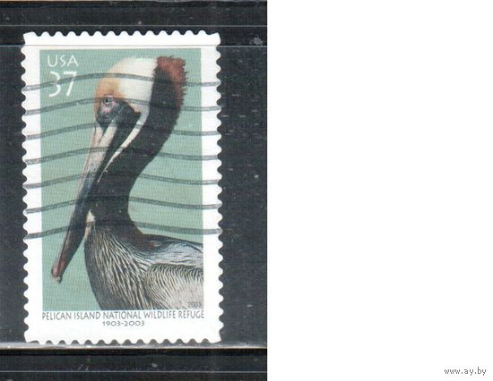 США-2003 (Мих.3734) ,  гаш. , Фауна, Птицы (одиночка),