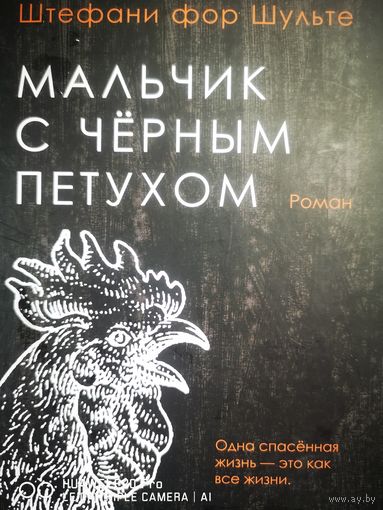 Мальчик с чёрным петухом.