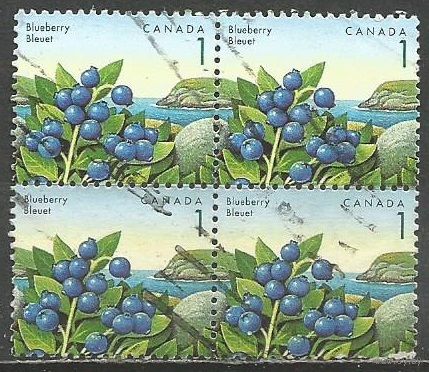 Канада. Лесные ягоды. Голубика. 1992г. Mi#1307. Кв.блок.