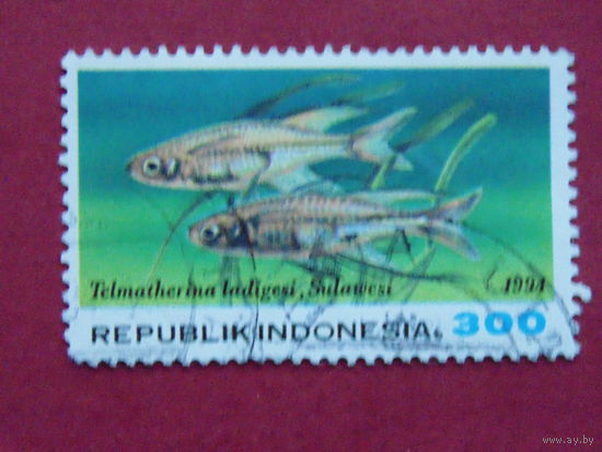 Индонезия 1994г. Морская фауна.