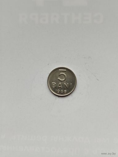 5 бани Румыния.