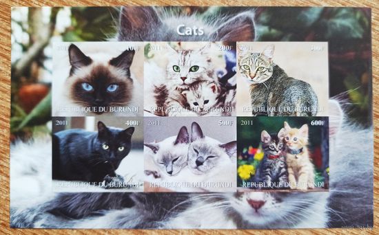 Бурунди. Коты, блок