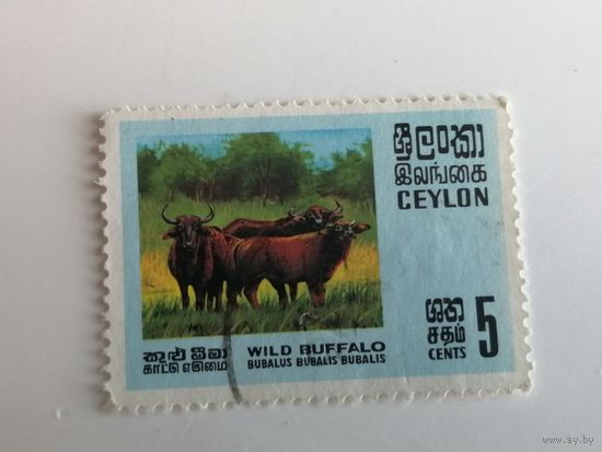 Цейлон 1970. Дикая природа