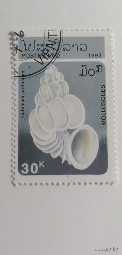 Лаос 1993. Моллюски