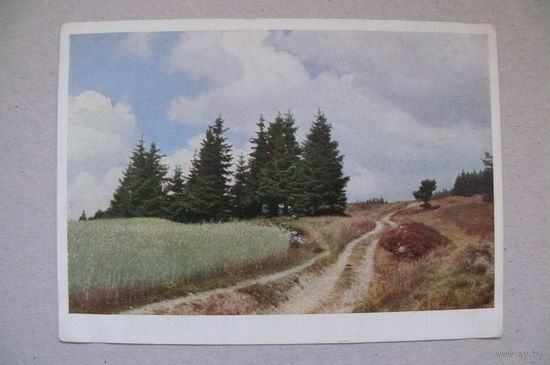 Природа, 1954, чистая (ГДР).