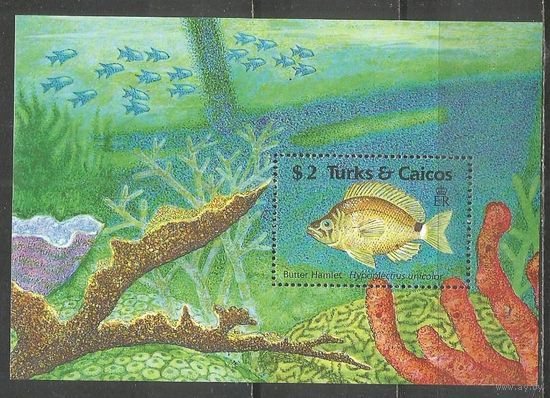 Тёркс и Кайкос. Рыбы. Кораллы. 1990г. Mi#Бл84.