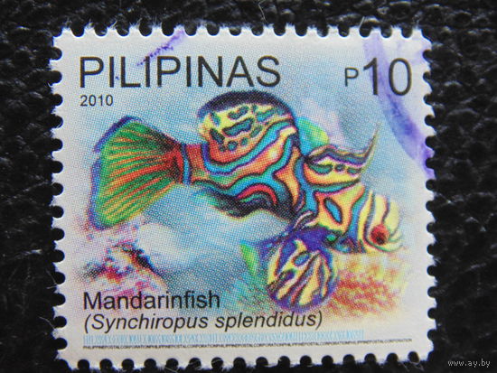 Филиппины 2010 г. Морская фауна.