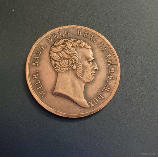 Люксембург жетон 1815 г. Инаугурация Великого герцога Люксембурга