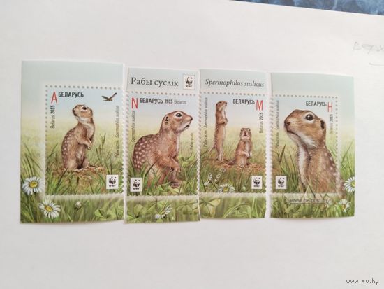 Беларусь 2015   4 м  суслики
