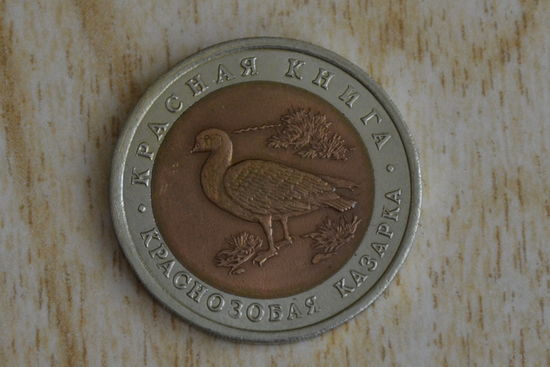 Россия 10 рублей 1992 Краснозобая казарка с 1 руб