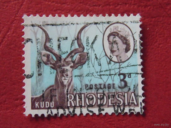 Родезия. Королева Елизавета II. Антилопа Большой Куду. 1966 г.