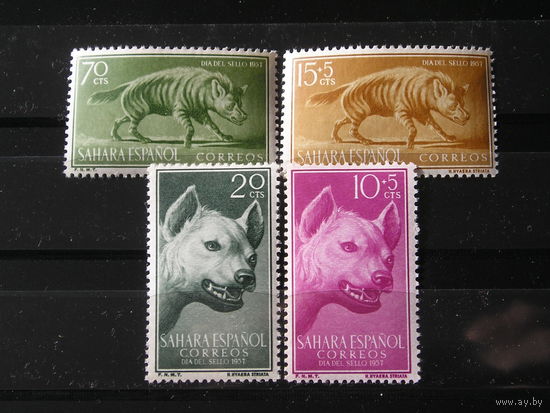 Испанская Сахара 1957 Хищники, гиены