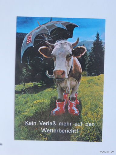 Юмор Германия 1980-е  10х15  см