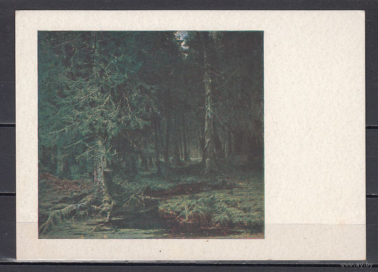 Живопись. Клевер. Девственный лес. СССР. 1932. Почтовая карточка не использованная.