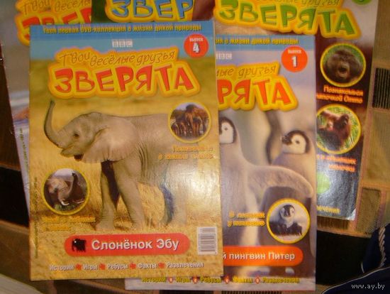 Твои веселые друзья зверята,6шт.