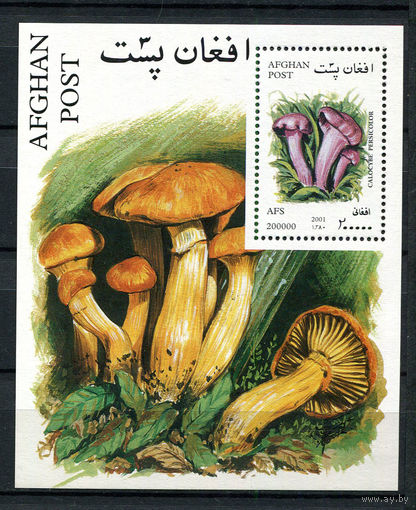 Афганистан - 2001 - Грибы - [Mi. bl. 120] - 1 блок. MNH.