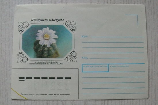 1983, 1990, ХНМК, Горинов К., Гимнокалициум, из серии "Цветущие кактусы".