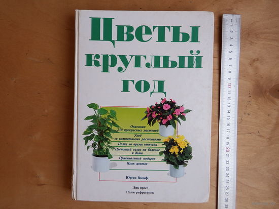 Цветы круглый год