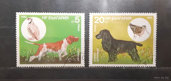 Болгария. 1985 год. Фауна. Собаки (788)