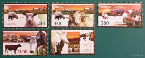 2007 Домашние животные Беларусь