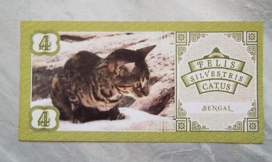 4 котуса 2016