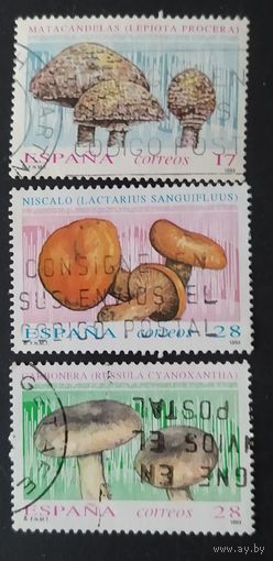 Испания 1993 грибы 3 из 4.