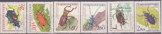 ЧССР Чехословакия 1962 фауна насекомые жуки ** MNH \\7