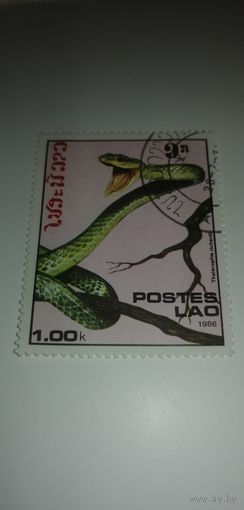 Лаос 1986. Змеи