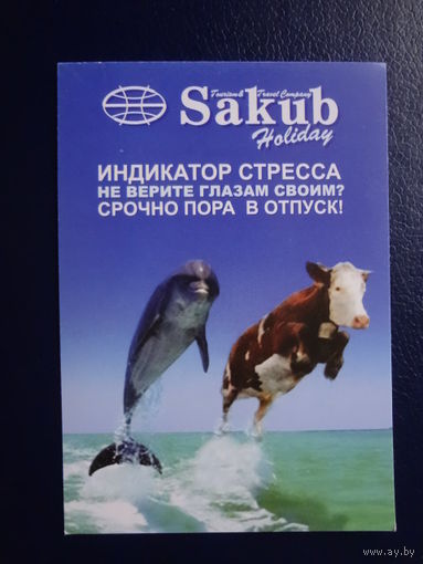 Календарик 2005 г.  Sakub.  Индикатор стресса. Не верите глазам своим? Срочно пора в отпуск!