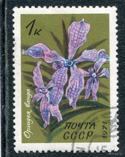 СССР 1971.. Флора. Орхидея Ванда