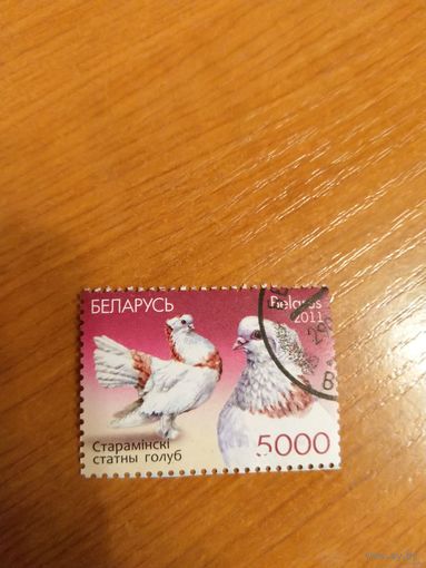 Беларусь фауна птицы (1-3)