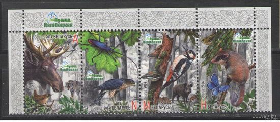 Беларусь 2014г. Налибокская пуща (верх)