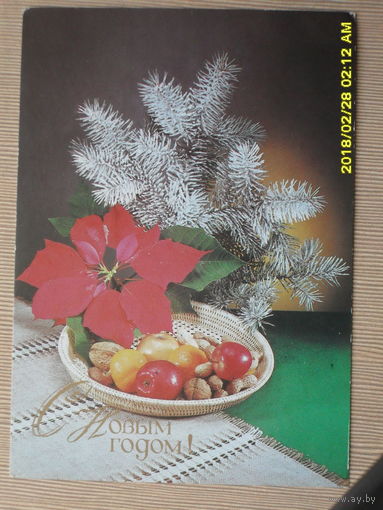 ЧИСТАЯ ПОЧТОВАЯ ОТКРЫТКА "С НОВЫМ ГОДОМ".фото.Д.КИНДРОВОЙ. 1989г.