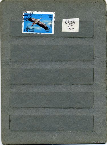 СССР, 1991,  В помощь зоопаркам,   1м  серия