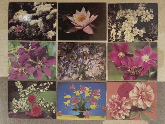 Мини-открытки чистые 9 шт.одним лотом