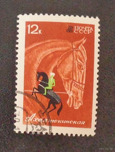1968, январь. Коневодство и конный спорт в СССР