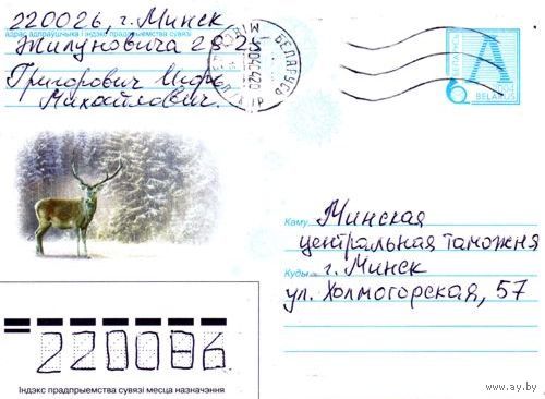 2004. Конверт, прошедший почту "Олень"