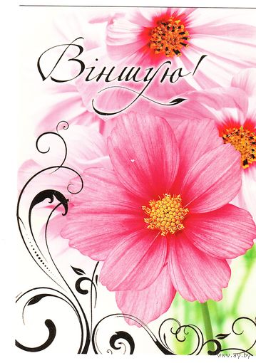 Беларусь 2010, открытка чистая