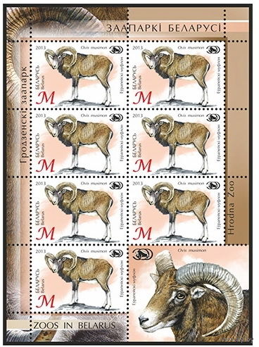 2013г Беларусь MNH  "Европейский муфлон"