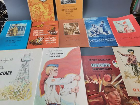 Книга  11 шт. (одним лотом).