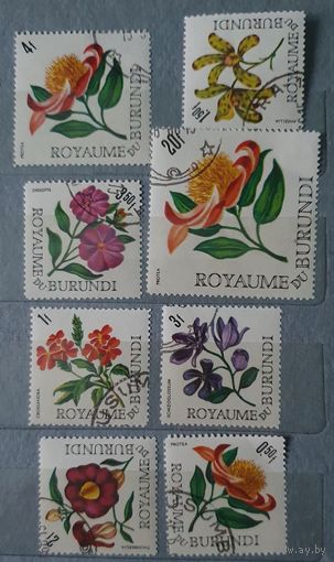 Бурунди цветы 8шт