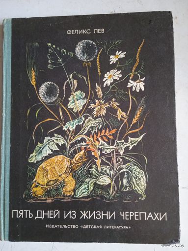 Пять дней из жизни черепахи