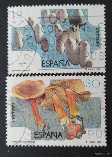 Испания 1995 грибы.