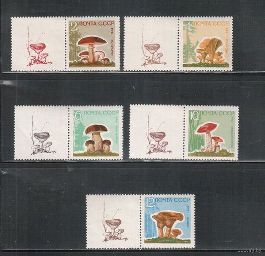 СССР-1964, (Заг.3036А-3040А), * , Грибы, с лаком, с куп.