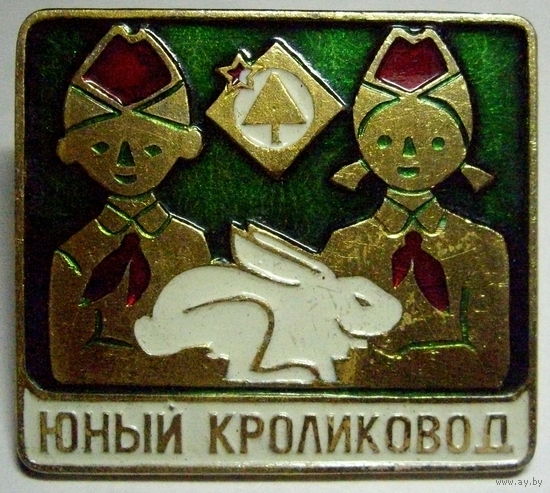 Юный кроликовод