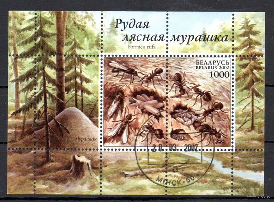 Рыжий лесной муравей  Беларусь 2002 год (461-462) 1 блок
