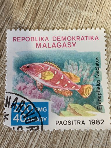 Мадагаскар 1982. Рыбы. Epinephelus fasciitis. Марка из серии