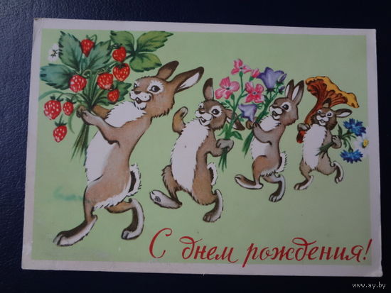 С днем рождения!  1960 г.  Зайчата с цветами, ягодами и грибом.