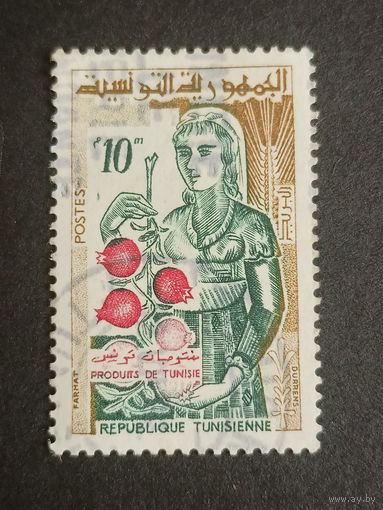 Тунис 1959. Жизнь в Тунисе